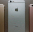 Новый iPhone XR способен делать портретные фото животных - VladTime.Ru