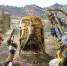 Раскрыты подробности игры Far Cry New Dawn - VladTime.Ru