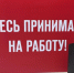 Самые  яркие и смешные  цитаты из резюме: обнародованы настоящие «шедевры» - Otvprim.Ru