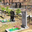 0bbd51c2f5546a0a65aa0d93d7b15962434618d3.jpeg - Primorye24.Ru