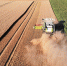 Система Cognitive Agro Pilot сэкономит ростовским фермерам 500 млн рублей - VostokMedia.Com
