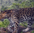 514919726361b429f834df3ac012bfc3f641dd62.jpeg - Primorye24.Ru