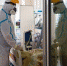 50f0c39a78195842427d367cb3b2c596295a3fd5.jpeg - Primorye24.Ru