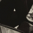 0e1dc9925fcff5f746451d25b8284053aedbdcdb.jpeg - Primorye24.Ru