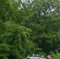 95ed853490a9a82b03a0652eff8e52c6699f1f8c.jpeg - Primorye24.Ru