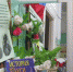 50568503897_5afa8b2d1e_o.jpg - Primorye24.Ru