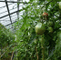 91e74e9db0ed88ad054da5890536106f3ce1a2c1.jpeg - Primorye24.Ru