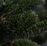 ced955443b4bcaeab979c99abbdb41fe164e11f2.jpeg - Primorye24.Ru