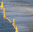 8825711a719de94c7e72063f1bc6e32b25d86fba.jpeg - Primorye24.Ru