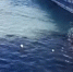 В Находке на месте разлива собрали более 1,3 тонны нефтесодержащей водной эмульсии - Vl.Ru