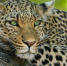 00c9b5e912c017fe2f82c9fb7ecc30de9f33c6fe.jpeg - Primorye24.Ru