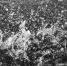 50b439dbd8dac7ca549518df92c3c14b55299e42.jpeg - Primorye24.Ru