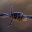 fe3f87371d1afc01feae7916171cfd2f42ab4973.jpeg - Primorye24.Ru