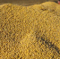 7d3c8b417924f62baae8e2ff55cf8805e3e19927.jpeg - Primorye24.Ru