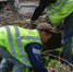 84c1e1bfb3ce623e55aea9c200dd8f01ee2e4287.jpeg - Primorye24.Ru