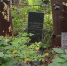 c7f6da714177861c5c1ad80a6e17321d40222c84.jpeg - Primorye24.Ru