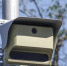eb1c2eda4fb066e5cc29c0c573d230b36cf82fb1.jpeg - Primorye24.Ru
