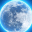 2e0198aee7299900cd761986e41091cfcb8d13e5.jpeg - Primorye24.Ru