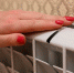 18951b3190bd19a7a3545bc44199a5c537ca5fb0.jpeg - Primorye24.Ru