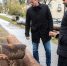 9c5692a8c4d18cbc4277a06d7e211949e0f05be5.jpeg - Primorye24.Ru