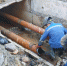 5ae0238644bba6478a7560d599f6cf1455b43de7.jpeg - Primorye24.Ru