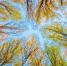 02fb2857e94e72fe77e86265d3db9efbd8d328c8.jpeg - Primorye24.Ru