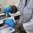 c2eec0fab3d136d73d8d1a05490197b2722fcc8e.jpeg - Primorye24.Ru