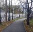 Осень, тротуар - Prim.News