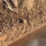 a0e0d7e36fd970d35b77903fdd86154f3a339c6f.png - Primorye24.Ru