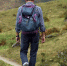 ce183ff108f19aafd577f9322da69977aa202906.jpeg - Primorye24.Ru