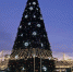 19a2783a0a23bde26af6a91fbe4290a967367419.jpeg - Primorye24.Ru
