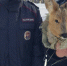 c9fb40aad367eb70102a05935adaef54c79c72de.jpeg - Primorye24.Ru