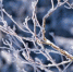 3294446e4dae53d4658b748ce7bc5e48ad833825.jpeg - Primorye24.Ru