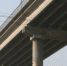 6af225f514a0a462915b9fd58f8b9c1194bd94b9.jpeg - Primorye24.Ru