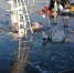 54b8e5d5b5469cf63f351d4877966b6ccee0b1ec.jpeg - Primorye24.Ru