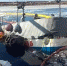 Боновые заграждения вокруг затонувшего судна. Кадр видео newsvlru - Fishnews.Ru