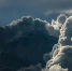9a0b25b3d1837badf688a6fa5ac0276f3b7e78aa.png - Primorye24.Ru