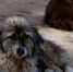 97f8bc412a0b0b0df65b3bfb06893e3567a7f388.jpeg - Primorye24.Ru
