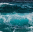 0b82560b46492800f03595471c1ebfdac5261a8a.jpeg - Primorye24.Ru