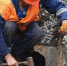 deef6b65df59a31ccbfd6c9c7c0c6e60bc27c6b1.jpeg - Primorye24.Ru
