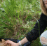 219015b9d136edf2e9056d8140925140073d8263.jpeg - Primorye24.Ru