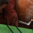 fc2f11bea431b2ebe6a443b836a9f708c2b21f46.jpeg - Primorye24.Ru