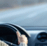 511d75115cfefa67304514b05f72afce2276c8f0.jpeg - Primorye24.Ru