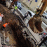 b0bec3ef24c2158fb5b14b242402b57630e0b449.jpeg - Primorye24.Ru