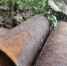 1d0f92980789d0fd966e769a14230a1207380d44.jpeg - Primorye24.Ru