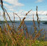 СУ СК Приморья предложило ряд мер для профилактики трагических случаев на воде - VostokMedia.Com