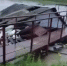 Уссурийск ночью накрыло паводком – сейчас часть города затоплена (ВИДЕО) - NewsVl.Ru