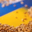 ЕС накажет Польшу за отказ от ввоза украинского зерна - Газета Далекая окраина