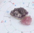 31fcfc78fd40dd097436703ce24b5be9a94d8901.jpeg - Primorye24.Ru