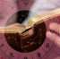 2087de24500cbc77870254041f42cafd8bf03a65.png - Primorye24.Ru
